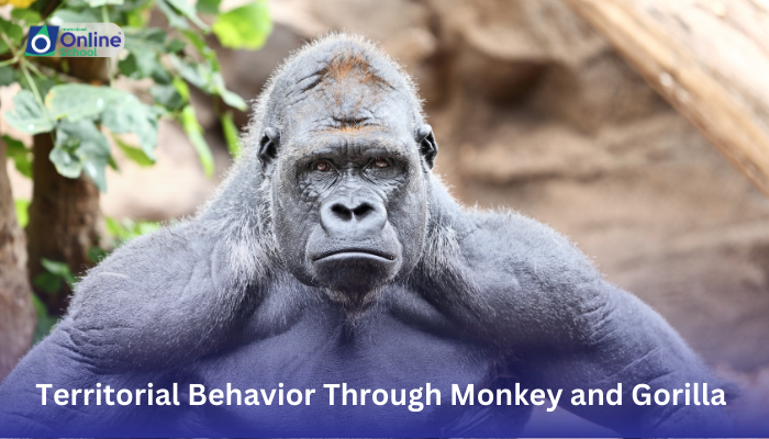 Lesson 21: Explanation of Territorial Behavior Through Monkey and Gorilla Examples